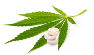 pastilels cannabis cbdcannabidiol